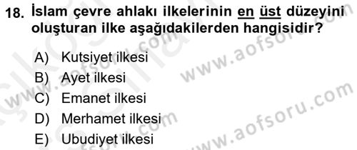 İslam Ahlak Esasları Dersi 2017 - 2018 Yılı 3 Ders Sınav Soruları 18. Soru