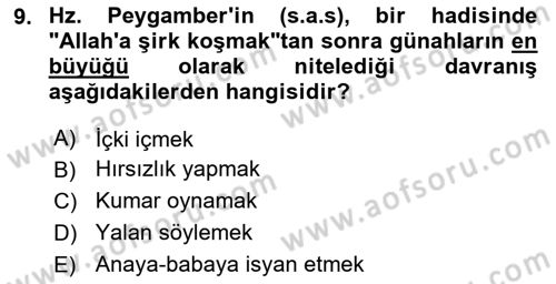 İslam Ahlak Esasları Dersi 2018 - 2019 Yılı 3 Ders Sınav Soruları 9. Soru