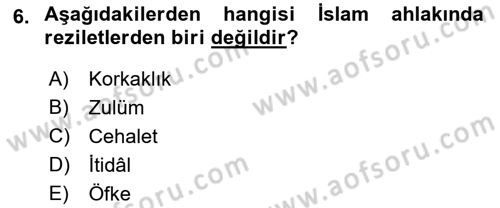 İslam Ahlak Esasları Dersi 2018 - 2019 Yılı (Final) Dönem Sonu Sınav Soruları 6. Soru