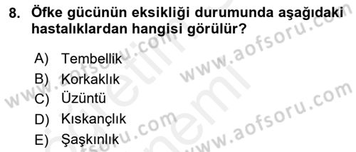 İslam Ahlak Esasları Dersi 2018 - 2019 Yılı (Final) Dönem Sonu Sınav Soruları 8. Soru