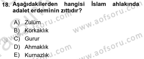 İslam Ahlak Esasları Dersi Ara Sınavı Deneme Sınav Soruları 18. Soru
