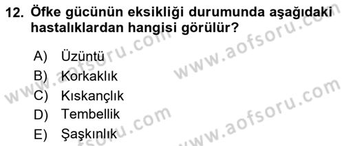 İslam Ahlak Esasları Dersi 2021 - 2022 Yılı Yaz Okulu Sınavı 12. Soru