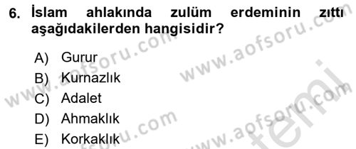 İslam Ahlak Esasları Dersi 2022 - 2023 Yılı (Final) Dönem Sonu Sınav Soruları 6. Soru