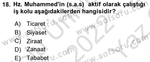 İslam Ahlak Esasları Dersi 2022 - 2023 Yılı Yaz Okulu Sınav Soruları 18. Soru