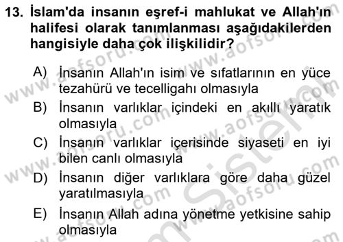 İslam Ahlak Esasları Dersi 2024 - 2025 Yılı (Vize) Ara Sınav Soruları 13. Soru
