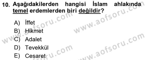 İslam Ahlak Esasları Dersi 2024 - 2025 Yılı Yaz Okulu Sınav Soruları 10. Soru