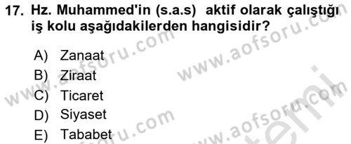 İslam Ahlak Esasları Dersi 2024 - 2025 Yılı Yaz Okulu Sınav Soruları 17. Soru