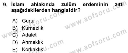 İslam Ahlak Esasları Dersi 2024 - 2025 Yılı Yaz Okulu Sınav Soruları 9. Soru