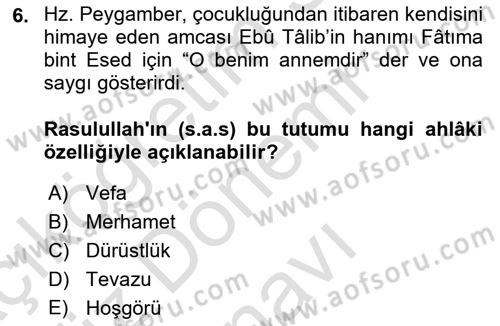 İlk Dönem İslam Tarihi Dersi 2022 - 2023 Yılı (Final) Dönem Sonu Sınav Soruları 6. Soru