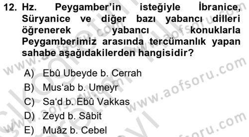İlk Dönem İslam Tarihi Dersi 2023 - 2024 Yılı Yaz Okulu Sınav Soruları 12. Soru