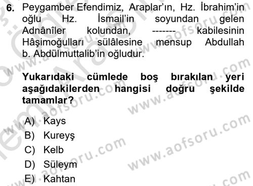 İlk Dönem İslam Tarihi Dersi 2025 - 2026 Yılı (Vize) Ara Sınav Soruları 6. Soru