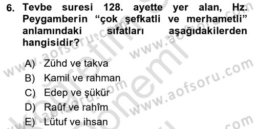İlk Dönem İslam Tarihi Dersi 2025 - 2026 Yılı (Final) Dönem Sonu Sınav Soruları 6. Soru