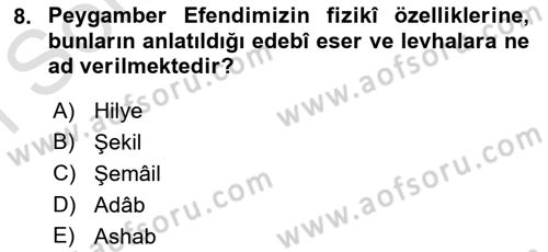 İlk Dönem İslam Tarihi Dersi 2025 - 2026 Yılı (Final) Dönem Sonu Sınav Soruları 8. Soru