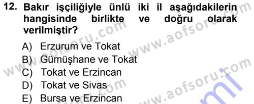 İslam Sanatları Tarihi Dersi 2012 - 2013 Yılı (Final) Dönem Sonu Sınav Soruları 12. Soru