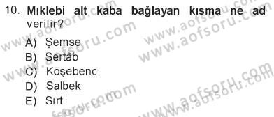 İslam Sanatları Tarihi Dersi 2012 - 2013 Yılı Tek Ders Sınav Soruları 10. Soru