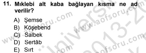 İslam Sanatları Tarihi Dersi 2013 - 2014 Yılı Tek Ders Sınav Soruları 11. Soru