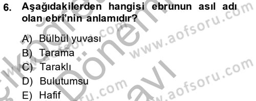 İslam Sanatları Tarihi Dersi 2014 - 2015 Yılı (Final) Dönem Sonu Sınav Soruları 6. Soru