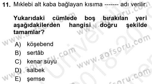 İslam Sanatları Tarihi Dersi 2018 - 2019 Yılı (Final) Dönem Sonu Sınav Soruları 11. Soru
