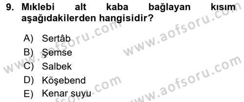 İslam Sanatları Tarihi Dersi 2019 - 2020 Yılı (Final) Dönem Sonu Sınav Soruları 9. Soru