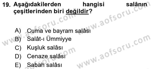 İslam Sanatları Tarihi Dersi 2024 - 2025 Yılı (Final) Dönem Sonu Sınav Soruları 19. Soru