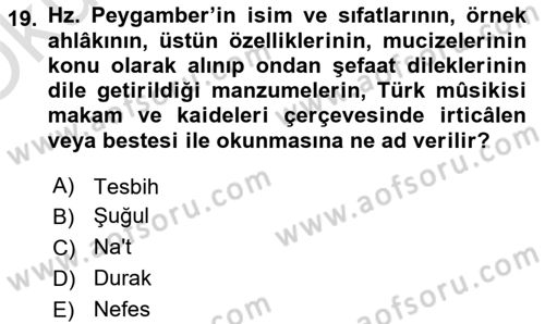 İslam Sanatları Tarihi Dersi 2024 - 2025 Yılı Yaz Okulu Sınav Soruları 19. Soru