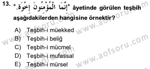Tefsir Tarihi ve Usulü Dersi 2016 - 2017 Yılı 3 Ders Sınav Soruları 13. Soru