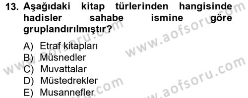 Hadis Tarihi ve Usulü Dersi 2012 - 2013 Yılı (Vize) Ara Sınav Soruları 13. Soru