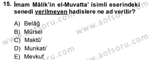 Hadis Tarihi ve Usulü Dersi 2013 - 2014 Yılı (Vize) Ara Sınav Soruları 15. Soru