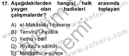 Hadis Tarihi ve Usulü Dersi 2013 - 2014 Yılı (Vize) Ara Sınav Soruları 17. Soru