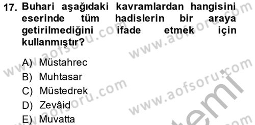 Hadis Tarihi ve Usulü Dersi 2014 - 2015 Yılı (Vize) Ara Sınav Soruları 17. Soru