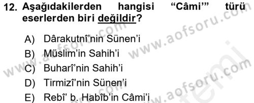 Hadis Tarihi ve Usulü Dersi 2017 - 2018 Yılı (Vize) Ara Sınav Soruları 12. Soru