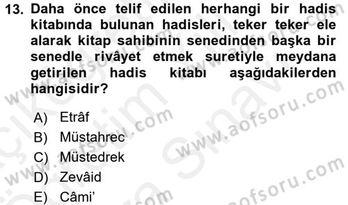 Hadis Tarihi ve Usulü Dersi 2017 - 2018 Yılı (Vize) Ara Sınav Soruları 13. Soru