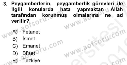 Hadis Tarihi ve Usulü Dersi 2018 - 2019 Yılı (Vize) Ara Sınav Soruları 3. Soru