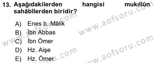 Hadis Tarihi ve Usulü Dersi 2018 - 2019 Yılı Yaz Okulu Sınav Soruları 13. Soru