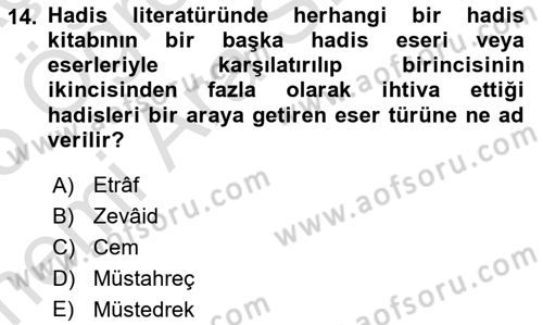 Hadis Tarihi ve Usulü Dersi 2024 - 2025 Yılı (Vize) Ara Sınav Soruları 14. Soru