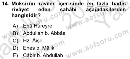 Hadis Tarihi ve Usulü Dersi 2024 - 2025 Yılı Yaz Okulu Sınav Soruları 14. Soru