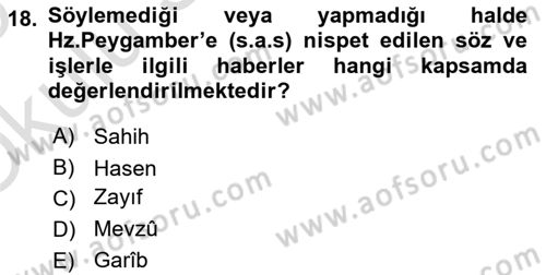 Hadis Tarihi ve Usulü Dersi 2024 - 2025 Yılı Yaz Okulu Sınav Soruları 18. Soru