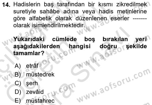 Hadis Tarihi ve Usulü Dersi 2025 - 2026 Yılı (Vize) Ara Sınav Soruları 14. Soru