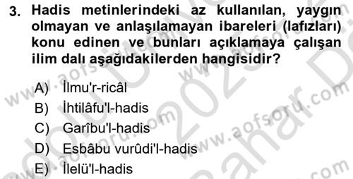 Hadis Tarihi ve Usulü Dersi 2025 - 2026 Yılı (Vize) Ara Sınav Soruları 3. Soru