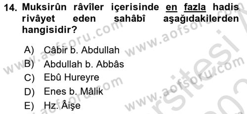 Hadis Tarihi ve Usulü Dersi 2025 - 2026 Yılı Yaz Okulu Sınav Soruları 14. Soru