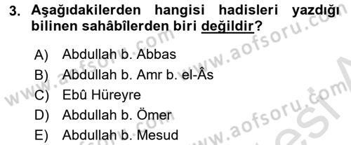 Hadis Tarihi ve Usulü Dersi 2025 - 2026 Yılı Yaz Okulu Sınav Soruları 3. Soru