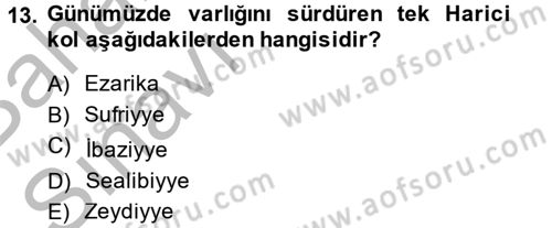 İslam Hukukuna Giriş Dersi 2014 - 2015 Yılı (Vize) Ara Sınav Soruları 13. Soru