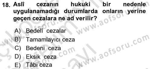 İslam Hukukuna Giriş Dersi 2022 - 2023 Yılı Yaz Okulu Sınavı 18. Soru