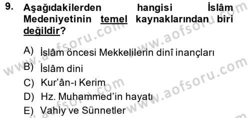 İslam Kurumları ve Medeniyeti Dersi 2013 - 2014 Yılı (Vize) Ara Sınav Soruları 9. Soru