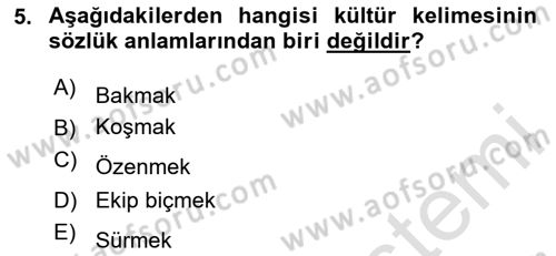 İslam Kurumları ve Medeniyeti Dersi 2024 - 2025 Yılı Yaz Okulu Sınav Soruları 5. Soru