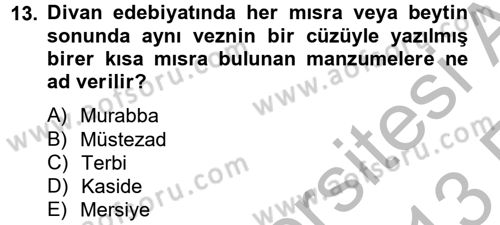 Türk İslam Edebiyatı Dersi 2012 - 2013 Yılı (Vize) Ara Sınav Soruları 13. Soru