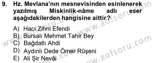 Türk İslam Edebiyatı Dersi 2012 - 2013 Yılı (Vize) Ara Sınav Soruları 9. Soru