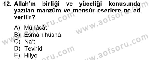 Türk İslam Edebiyatı Dersi 2012 - 2013 Yılı (Final) Dönem Sonu Sınav Soruları 12. Soru