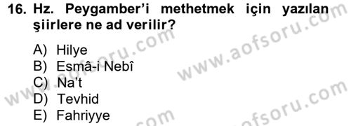 Türk İslam Edebiyatı Dersi 2012 - 2013 Yılı (Final) Dönem Sonu Sınav Soruları 16. Soru