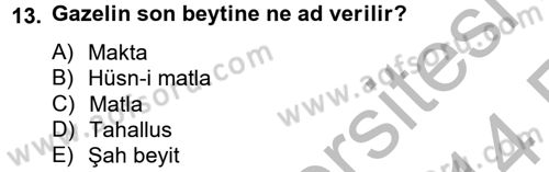 Türk İslam Edebiyatı Dersi 2013 - 2014 Yılı (Vize) Ara Sınav Soruları 13. Soru